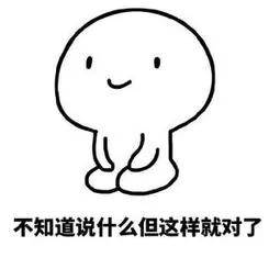 嘉兴_2025澳门天天开奖大全,控诉前瞻请全面2释义、解释与落实