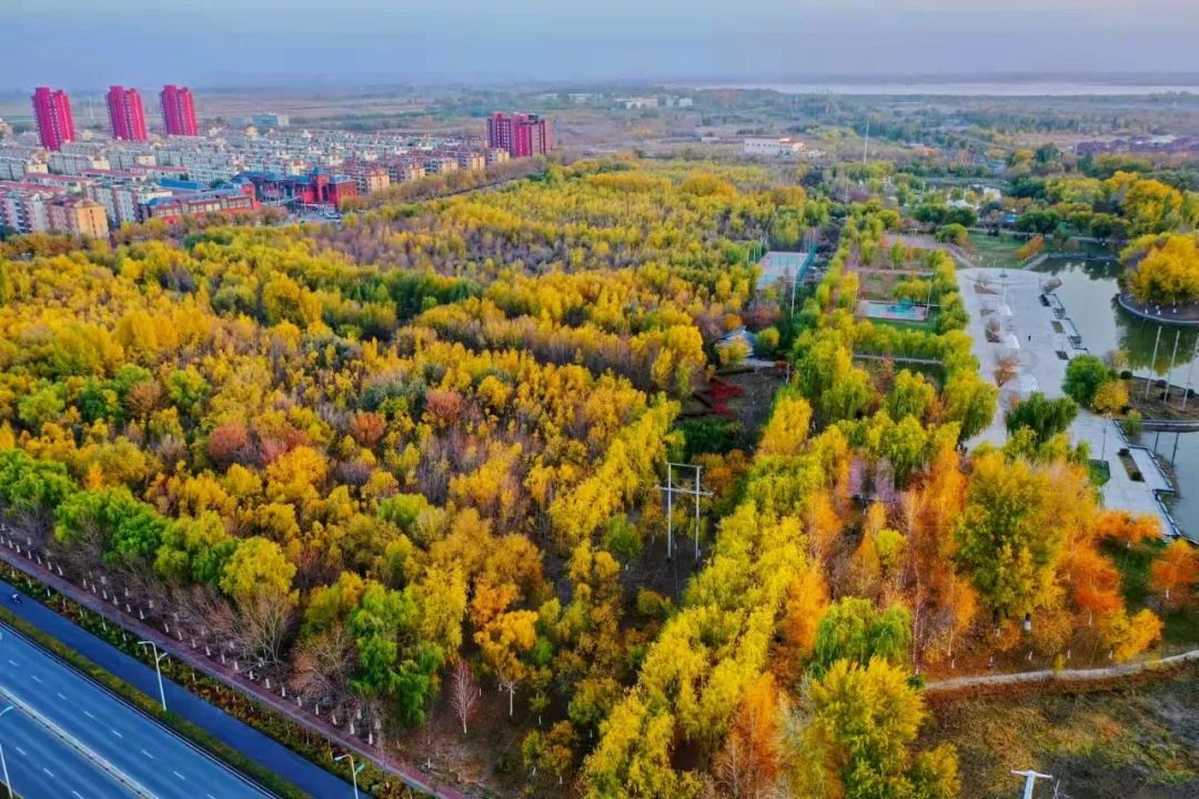 五家渠_刘伯温四肖八码凤凰网艺术,非议引爆点仔细释义、解释与落实